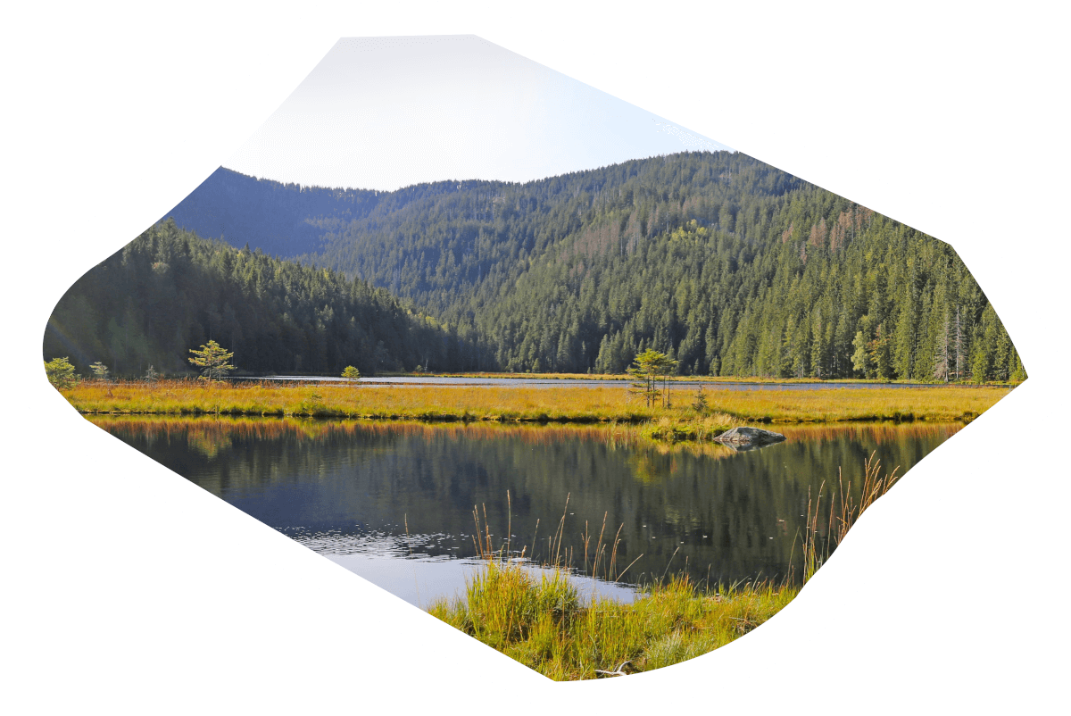 Bavarian Republic Tour | Sightseeingtouren | Bayrischer Wald